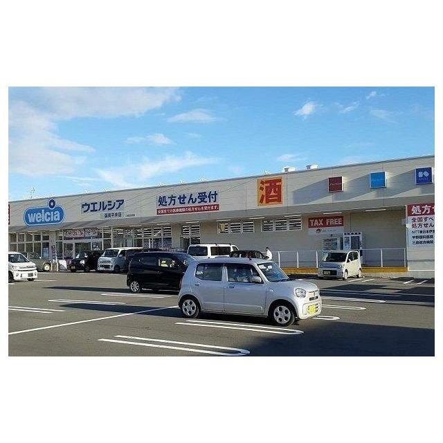 ウエルシア函南平井店まで1200m