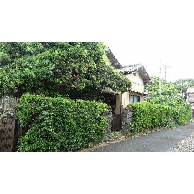 前面道路含む外観