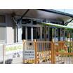 幼稚園、保育園