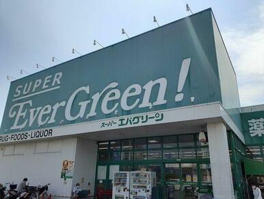 エバグリーン阪南店様