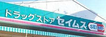 ドラッグセイムス 太田窪店