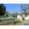 幼稚園、保育園