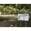 公園
