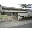 幼稚園、保育園