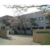 中学校