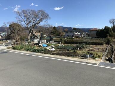 東側の土地（地番３８９－２）