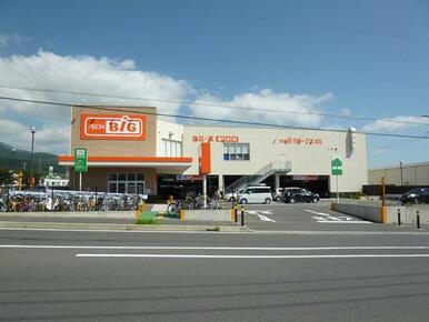 ザ・ビッグ平塚真田店