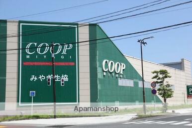 みやぎ生協石巻大橋店