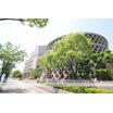 大学