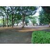 公園