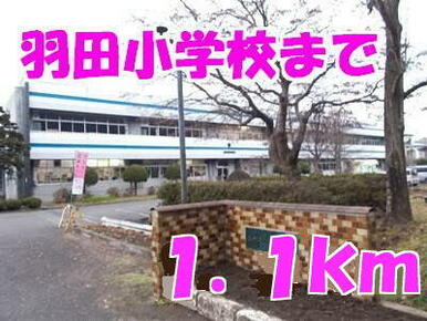 羽田小学校