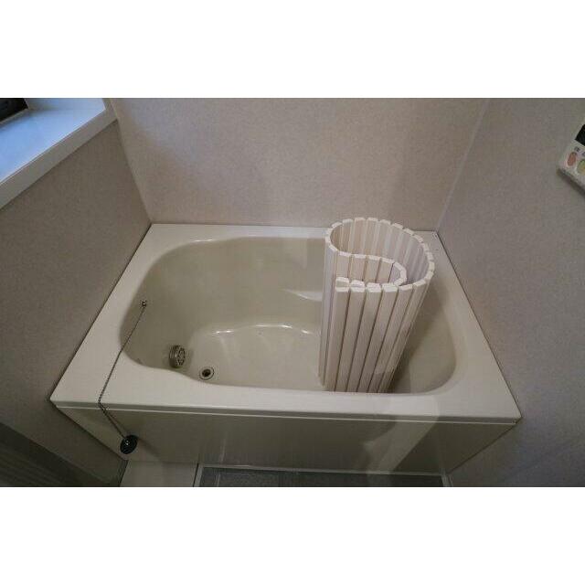 ※過去の写真を使用しております。