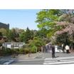 大学