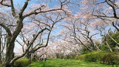 宮城公園