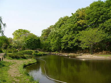 桜台公園