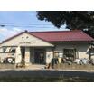 幼稚園、保育園
