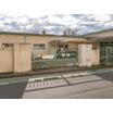 幼稚園、保育園