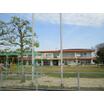 幼稚園、保育園