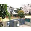幼稚園、保育園