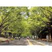 公園