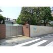 幼稚園、保育園