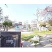 公園