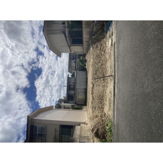 現地写真