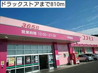 ドラックストア