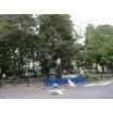 公園
