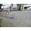 公園