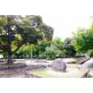 公園