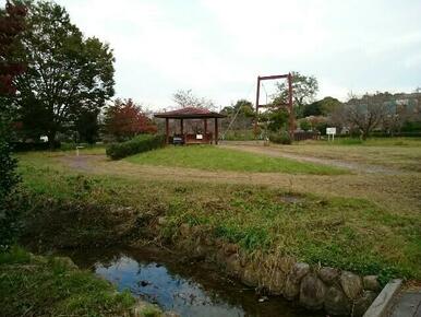 大沢川親水公園