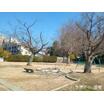公園