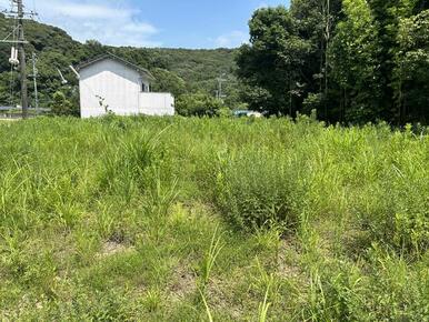 敷地内、西から東に向けて