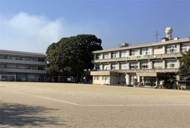 大分市立日岡小学校