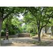 公園