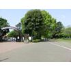 公園