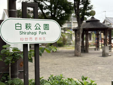 白萩公園