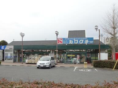 カワグチ日吉台店