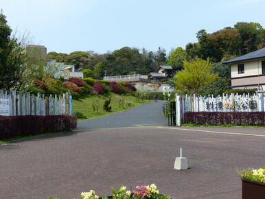 到津の森公園