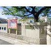 幼稚園、保育園