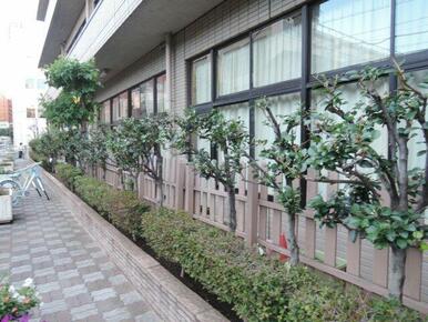 荒川区立 ひぐらし小学校