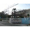 幼稚園、保育園