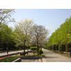 公園