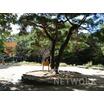 公園