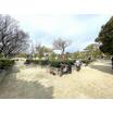 公園