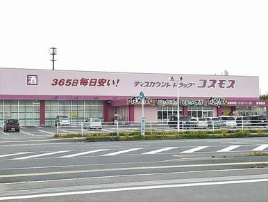 コスモス　鏡店