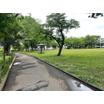 公園