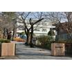 小学校