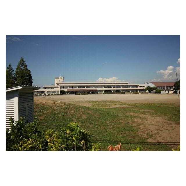 常盤小学校 210m